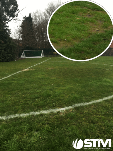 patchy natural grass football pitch with close up view of uneven surface