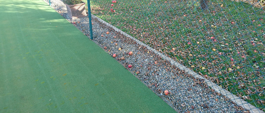 tennis court maintenance program